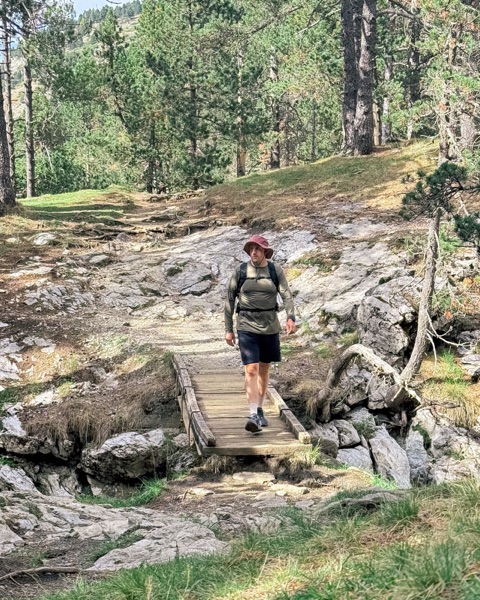 Erwann hiking on a wooden footbridge in a pine forest